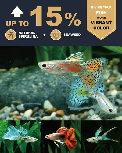 Vista 4 de Ultra Fresh Royal Guppy Mignon Pellet, alimento Guppy totalmente natural, gambas espadas, espirulina, altamente nutritivo, para agua más limpia