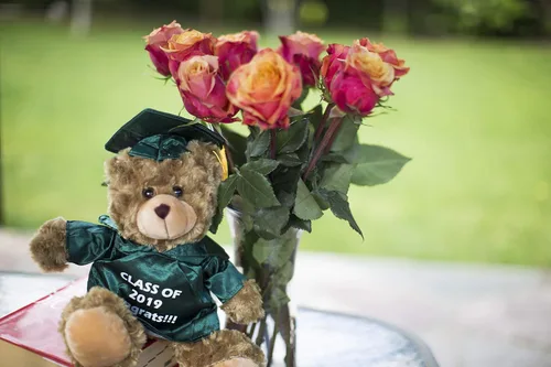 Vista 4 de Plushland Peluche de animal, juguetes de 12 pulgadas, regalo para el día de graduación, lo mejor para cualquier graduado de escuela, 12 pulgadas
