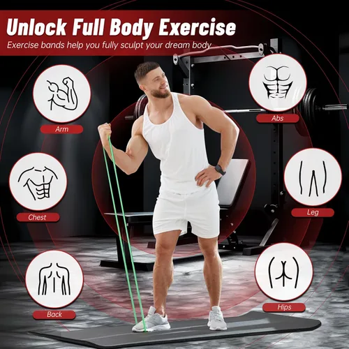 Vista 4 de Bandas de resistencia para entrenamiento, bandas de asistencia de 4 niveles, bandas de ejercicio para mujeres y hombres, bandas de entrenamiento