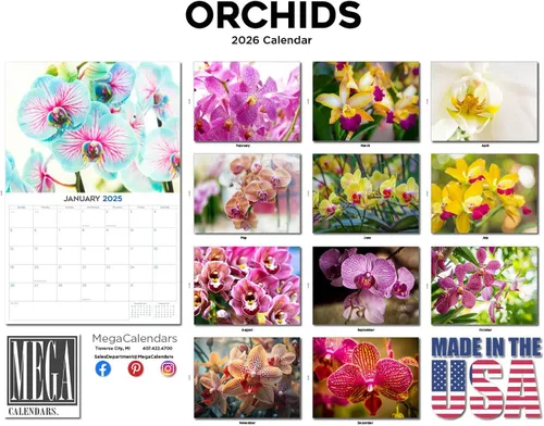 Vista 75 de Calendario de grises africanos 2025 2026 – Planificador mensual de pared de aves africanas – 12 x 18 pulgadas (abierto), calendario de pared