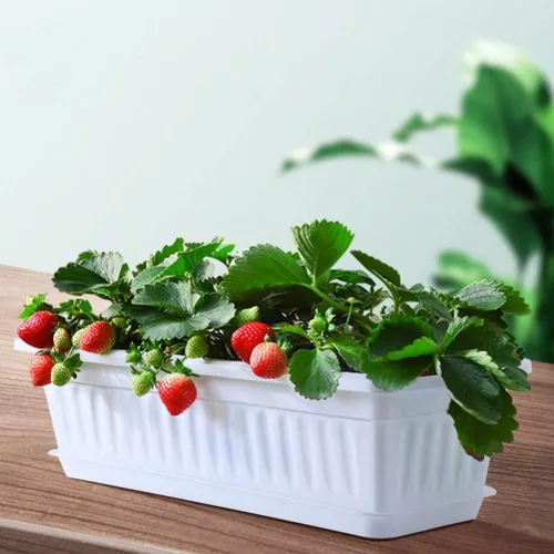 Vista 8 de Yardwe Macetero para ventana, 2 macetas de plástico para verduras, macetas rectangulares con bandeja para jardín interior y exterior, patio