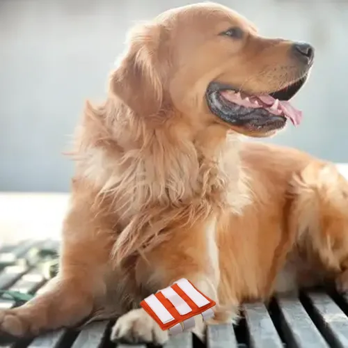 Vista 6 de Vendaje de punto caliente para perros Vendaje de pierna de perro Vendaje sin masticar vendaje para perros Cuidado de heridas en la pierna Ayuda a