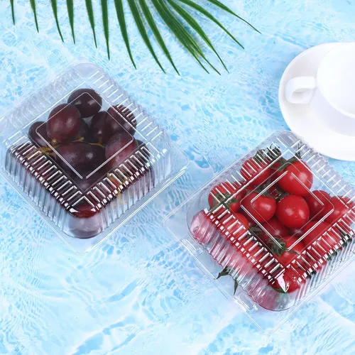 Vista 5 de 100 unidades de 5 x 5 pulgadas Clamshell bandeja para llevar recipientes de plástico con bisagras para alimentos, caja de comida desechable