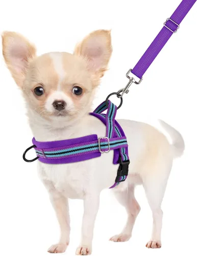 Vista 13 de SlowTon - Juego de arnés y correa para perros pequeños sin tirones, chaleco suave ajustable para cachorros para el cuello y el pecho, arnés