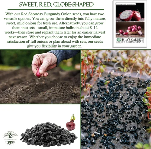 Vista 5 de Semillas de cebolla de color burdeos Red Shortday – Más de 300 semillas tradicionales sin OMG de Isla's Garden Seeds, sabor dulce y suave, ideal