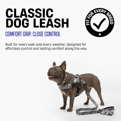 Vista 2 de Dog Friendly Co. Correa clásica para perro Sin tensiones, resistente a los golpes, evita sacudidas, mantiene el control Material impermeable