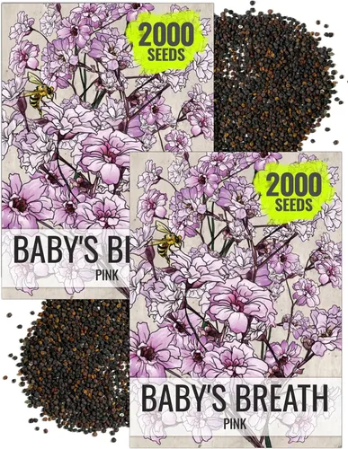 Vista 7 de Seed Needs Semillas de aliento de bebé rosa para plantar flores anuales, 1 paquete