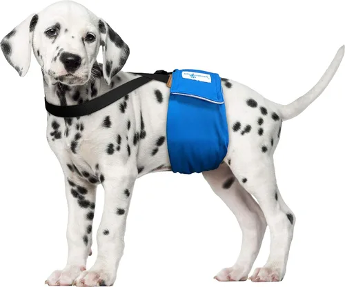 Vista 3 de Paw Inspired Tirantes de pañales para perros con cierres de velcro Tirantes elásticos ajustables para pañales desechables y lavables para mujeres