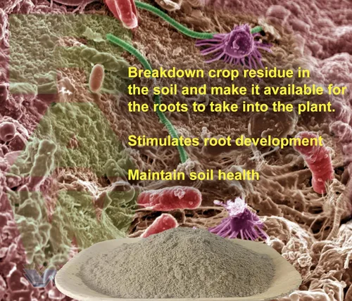 Vista 3 de RAW Microbes Bloom 2lb - Inoculante microbiano beneficioso para plantas con flores - Aumenta la absorción de nutrientes y mejora el desarrollo