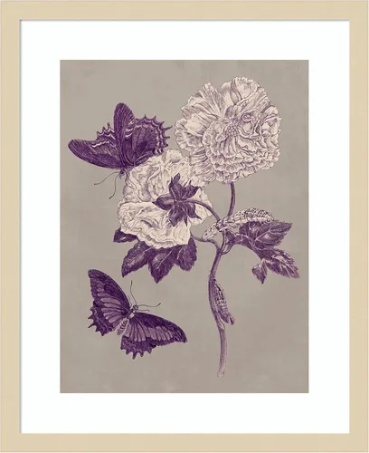 Vista 15 de Amanti Art Lienzo decorativo para pared, 24 x 20 pulgadas, estudio de la naturaleza en ciruela y gris pardo IV por Maria Merian, arte de pared