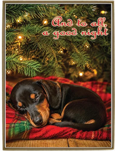 Vista 29 de Glory To Dog And To All A Good Night Sleepy Beagle Puppy - Juego de 12 tarjetas y sobres de Navidad