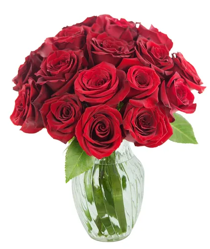 Vista 56 de KaBloom - Rosas arcoíris (media docena)- Flores frescas para cumpleaños, San Valentín y Día de la Madre