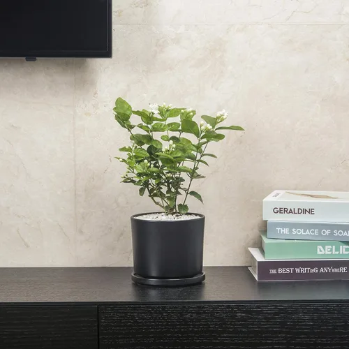 Vista 2 de Ekirlin - Macetas de 7 pulgadas para plantas, macetas de cerámica para flores en interiores, contenedores modernos de suculentas con plato