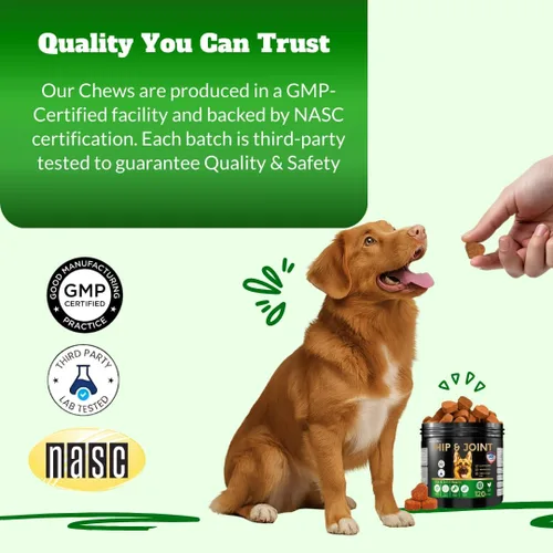 Vista 8 de Suplemento masticable para articulaciones de perros con glucosamina, MSM y Omega 3, apoyo articular para perros mayores y de razas grandes
