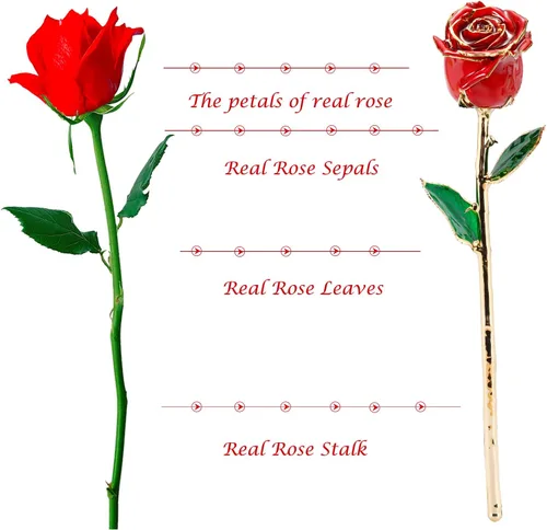 Vista 3 de Regalos para mamá, rosa dorada, rosa bañada en oro hecha de rosa real, regalos para ella y los mejores regalos para la madre, rosas doradas