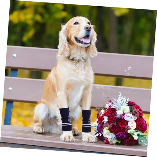 Vista 8 de HANABASS 4 piezas de protectores de codo para mascotas, mangas de punto para perros, diseño de letras y cómodos calentadores de piernas, fáciles