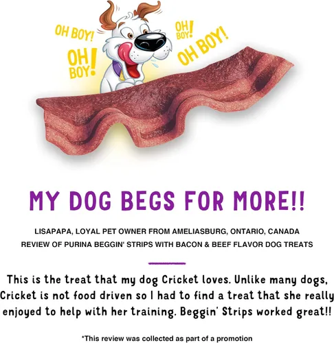 Vista 8 de Purina Beggin' Tiras con Carne Real de Golosinas para Perros con Sabores a Tocino y Carne