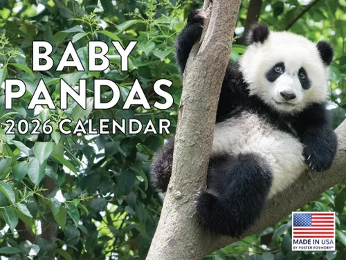Vista 168 de Calendario mensual de pared de alpaca 2025 Fabricado en Estados Unidos