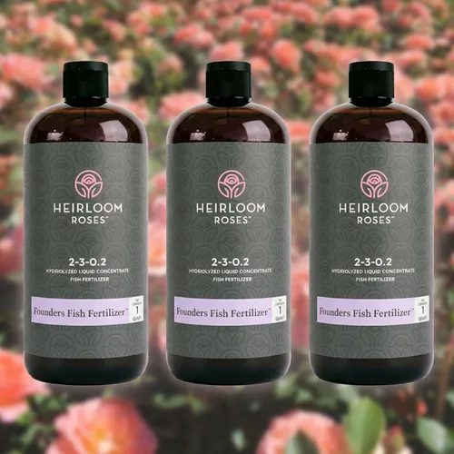 Vista 7 de Heirloom Roses, Get Growing Bundle, kit de plantación y cuidado de rosas y flores, grande