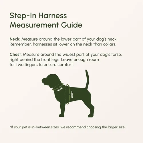 Vista 111 de Downtown Pet Supply Arnés para perro Step-in – Sin tirones, malla acolchada ajustable con ribete reflectante, correa de hebilla segura – Arnés