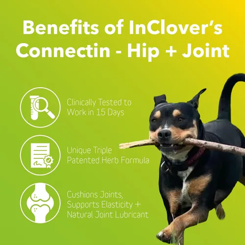 Vista 4 de InClover Connectin Suplemento natural para cadera y articulaciones para gatos con glucosamina, condroitina y ácido hialurónico, polvo