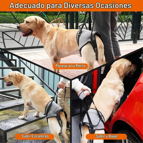 Vista 3 de ROZKITCH Arnés de elevación para perros, ayuda de soporte trasero para mascotas, aprobado por veterinarios, para ayuda de edad avanzada con poca