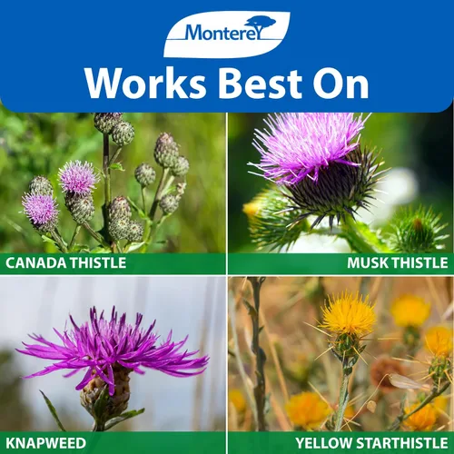 Vista 10 de Monterey Thistledown Concentrado herbicida 8 onzas