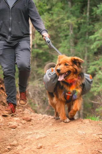 Vista 6 de Mountainsmith K-9 mochila para perro
