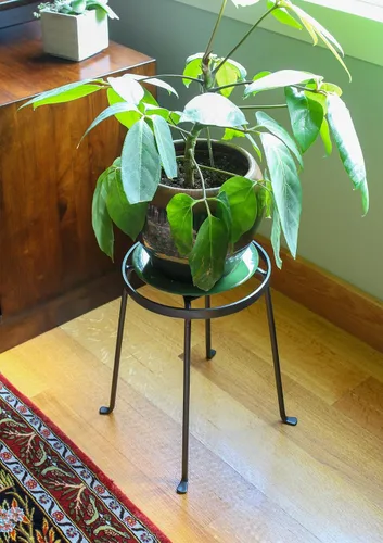 Vista 8 de Achla Designs Juego de dos soportes para plantas de rombos