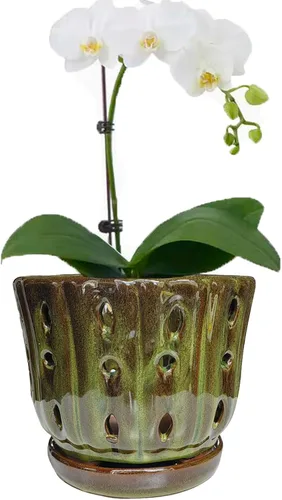 Vista 13 de Maceta de Cerámica para Orquídeas con Platillo Adjunto y Agujero de Drenaje de 6 Pulgadas (Negro)