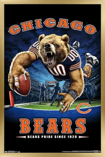Vista 14 de Trends International NFL Chicago Bears - Póster de pared de End Zone 17, 14.725 x 22.375 pulgadas, versión enmarcada de madera de granero