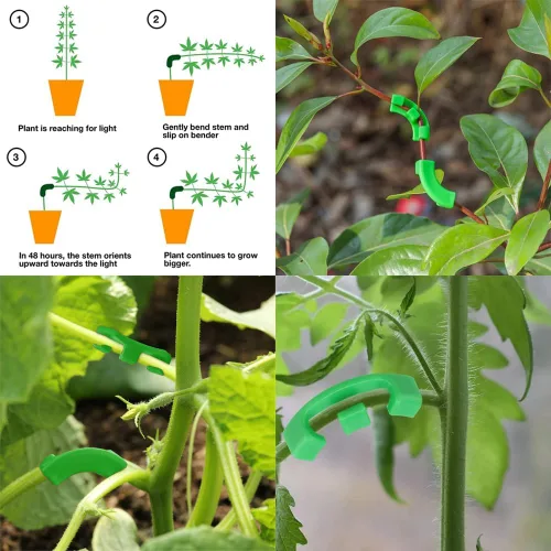 Vista 4 de 80 clips de entrenamiento de tallo de plantas, ramas dobladoras de brotes de plantas de bajo estrés, clips de soporte para plantas, abrazaderas