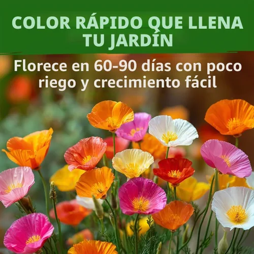 Vista 2 de HOME GROWN California Poppy Formula Mix 3000 Semillas Eschscholzia