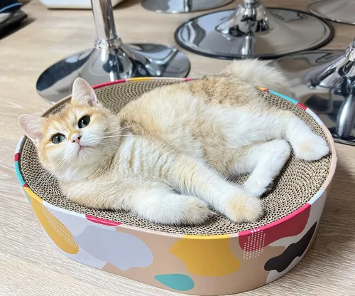 Vista 2 de Cama rascador para gatos, sofá de salón para gatos de interior, forma ovalada, 17 x 13 pulgadas, muebles de larga duración