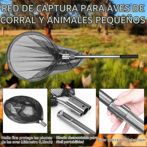 Vista 3 de Red de captura – Atrapa animales pequeños para pollo, pato, ganso, pescado, gato, pájaro, mapache, perro y otros