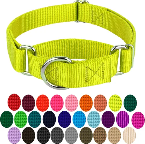Vista 3 de Country Brook Petz - Collar Martingale para perro - Collar de entrenamiento resistente sin hebilla - Collar para perros de servicio para todos