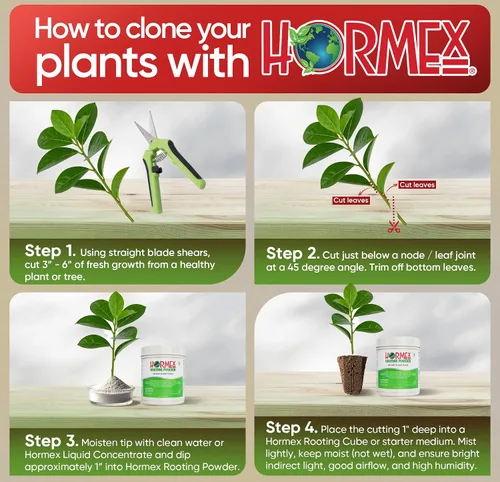 Vista 7 de Hormex Polvo de enraizamiento #1 (0.10 IBA): hormona de enraizamiento para plantas de interior delicadas, hierbas de jardín y esquejes suculentos