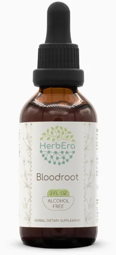 Vista 6 de HerbEra Bloodroot B120 - Tintura de extracto de hierbas sin alcohol, raíz seca de raíz de sangre cultivada responsablemente (Sanguinaria Canadensis)