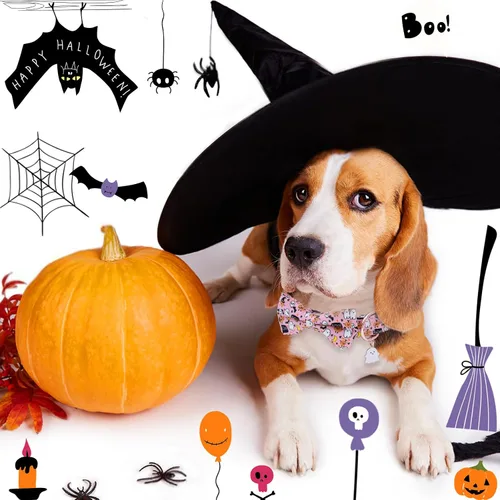 Vista 5 de Collar de perro con moño de Halloween de Faygarsle para otoño, collar elegante y bonito para perros pequeños, medianos y grandes, collar de algodón