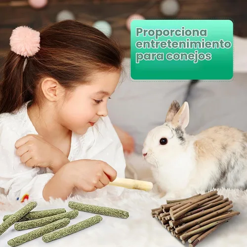 Vista 6 de WDEFUN Juego de juguetes naturales para masticar para mascotas, 20 palitos de heno Timothy, 20 ramas de manzano, 5 bambú dulce, juguetes