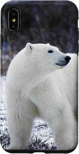 Vista 11 de Polar Bears Animal Nature Case for iPhone 17