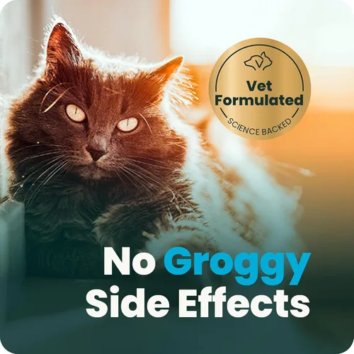Vista 8 de VetriScience Composure, fórmula calmante para gatos, 30 masticables del tamaño de un bocado