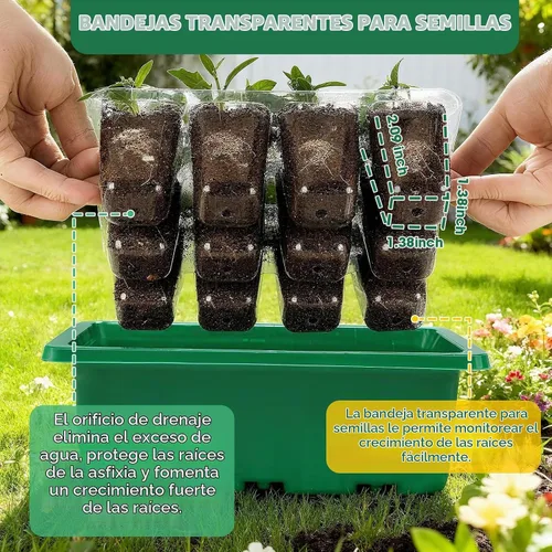 Vista 3 de 5 paquetes de bandejas para semillas con cúpula de humedad, kit de inicio de semillas con base transparente con orificios de drenaje