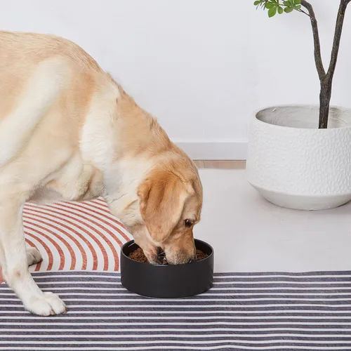 Vista 6 de Cuenco de cerámica para perros, resistente y antideslizante, cuenco de cerámica para mascotas, capacidad para 28 onzas
