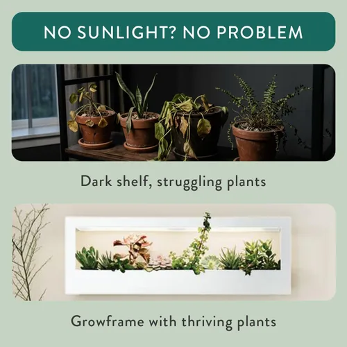 Vista 5 de Modern Sprout Smart Landscape Growframe - Soporte para plantas montado en la pared con luz LED de cultivo - Control inteligente por aplicación