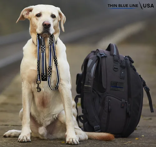 Vista 2 de Correa para perro con diseño de línea azul delgada con bandera estadounidense