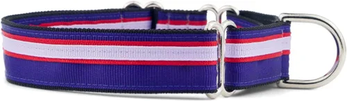 Vista 6 de If It Barks Collar Martingala de 1 pulgada con hebilla de liberación rápida, ajustable, fabricado en Estados Unidos, pequeño, arándano