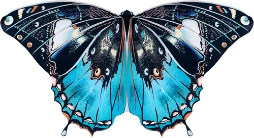 Vista 10 de Alas de mariposa monarca para niñas, disfraz de princesa de hada para niñas pequeñas, disfraz para hermana mayor, juguete para fiesta de baile