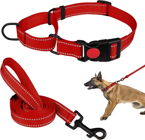 Vista 14 de Set de Collar y Correa Martingale para Perros Collares de Martingale para Perros Collar de Martingale Reflectante para Perros Pequeños, Medianos