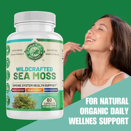 Vista 2 de Musgo marino orgánico Apoyo inmunológico y salud cerebral Vejiga, raíz de bardana y bioperina Todo natural, sin lácteos, sin gluten 60